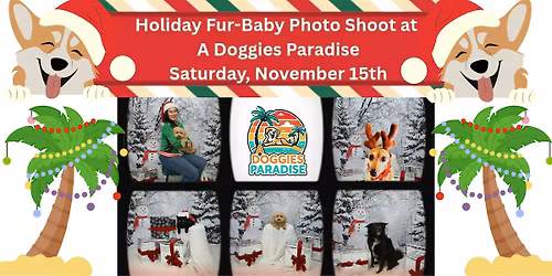 Holiday Fur-Baby Photos at A Doggies Paradise