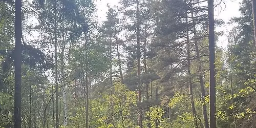 Hjorthagen Ultra Trail 100