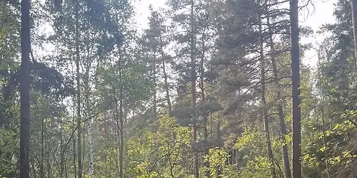 Hjorthagen Ultra Trail 100