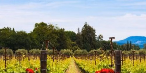ABC - California Wine Tasting
