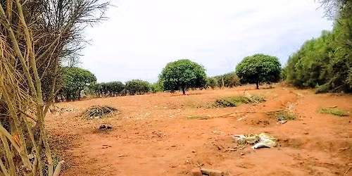 17 October to 19 of October 2025