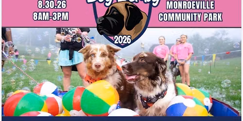 Say It Once Dog Derby 