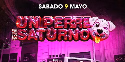 Noche En Saturno El Festival