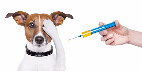 Dog and cat Vaccine Clinic at Pet Food Depot PV