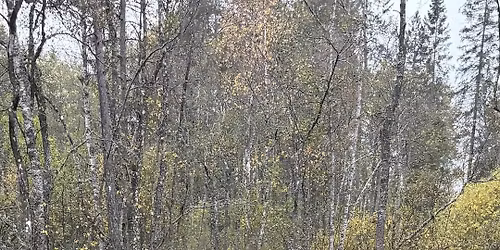 Delt\u00e4vling 6 & FINAL, Svenska Offroad cupen 2025