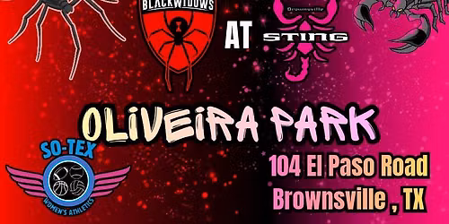 PLAYOFFS - Black Widows at Sting