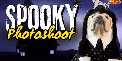 Halloween Costume Contest 
