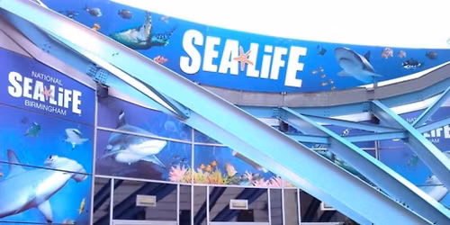 Sea Life Birmingham + Warwick Castle + Cadbury World
