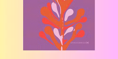 BORD'ELLES, rencontre avec Les feMMes d'Angers