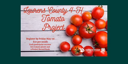 Laurens County 4-H Tomato Project 2026