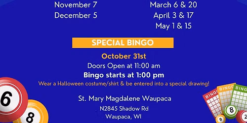 Bingo Night