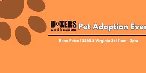 Boxers and Buddies Dog Adoption Event