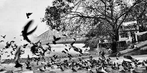 Petals, People & Perspectives - Photo Walk along the Ghats