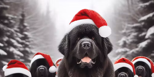 Club Christmas Party & Walk