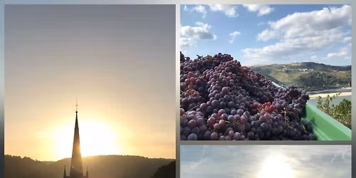 \ud83c\udf47 Nacht des Seligmachers \ud83d\udc9c