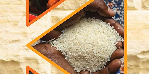 Cook the Book: The Rise: Black Cooks and the Soul of American Food