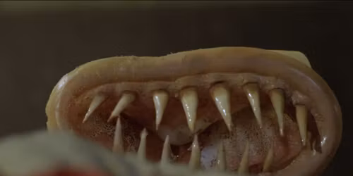 \u201eZab\u00f3jczy kondom\u201d czyli niemiecki humor w Garage Pubie 12.11.2025