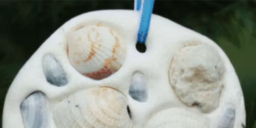 Seashell ornament gifts