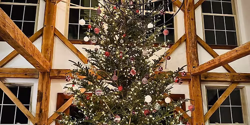 U-Cut & Carry Christmas trees 