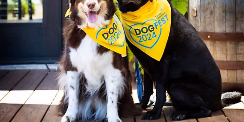 DogFest DFW