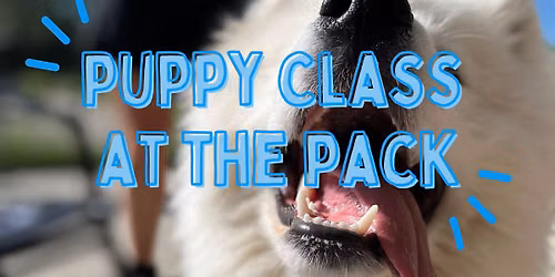 Puppy Classes with Caily (Puppies under 1 year)