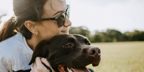 Intermediate Family Dog