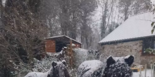 Rencontre\/souper cavaliers\/meneurs & amis 2026 Ontmoetingsdiner ruiters Brabant