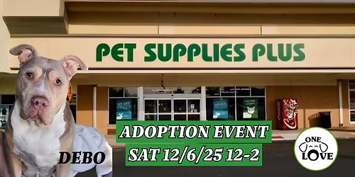 ONE LOVE ANIMAL RESCUE ADOPTION EVENT AT PSP 12\/6\/25 12-2