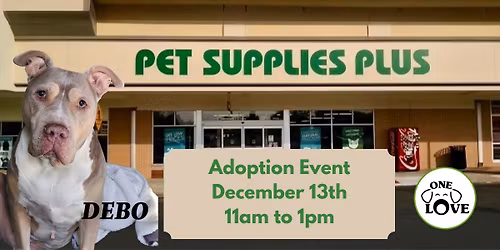 ONE LOVE ANIMAL RESCUE ADOPTION EVENT AT PSP 12\/6\/25 12-2