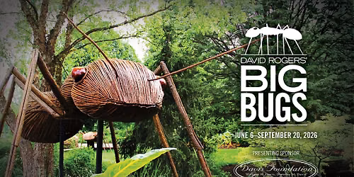 David Rogers : Big Bugs
