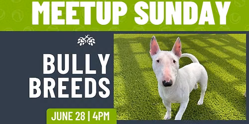 Bully Breed Meetup 