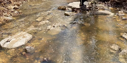 Mission: Clean Stream