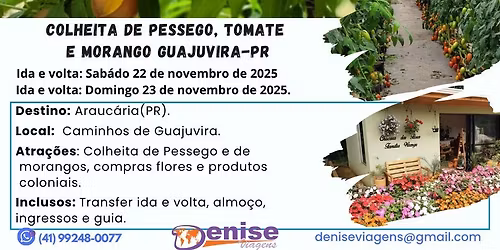 Colheita em Guajuvira