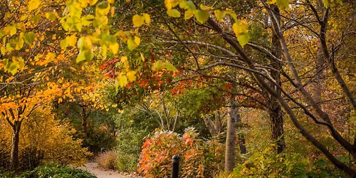 Family Fun Night: Welcome to Fall, Y'all
