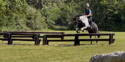 Cornwall Trec Group Cross Country Clinic with Emily Vincent - 4
