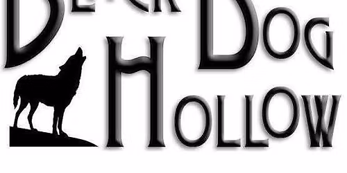 Black Dog Hollow Band