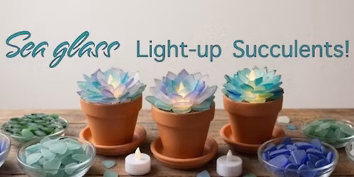 Class is full--Sea Glass Succulent Class