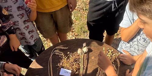 Den otev\u0159en\u00fdch dve\u0159\u00ed Z\u0160 Divukraj