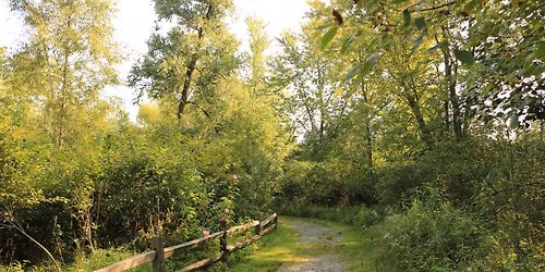 Live Healthy, Discover Nature! Walk @ Sand Ridge Nature Center