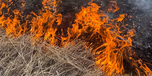 Fire and Ice Symposium - Afternoon Session: Fire