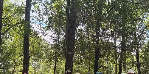 Lets go Hiking