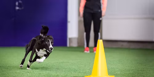 Tokokoe la 22.11.2025 (kaikki luokat)