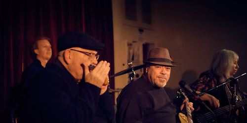 BIG FRANK & THE HEALERS AT MUSIC IN THE GARDEN