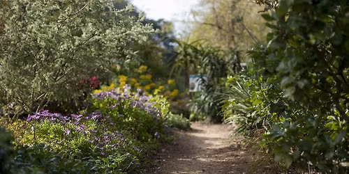 Introduction to Sustainable Gardening Series: Spring 2026