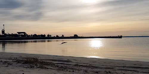 Bruce Beach & Surrounding Areas Cleanup