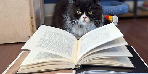 December 4: Let's Pretend This Will Work