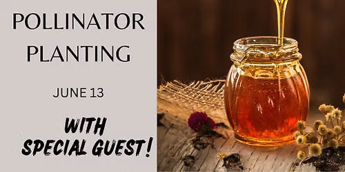 Adults' Workshop - Beekeeping & Pollinator Planting 