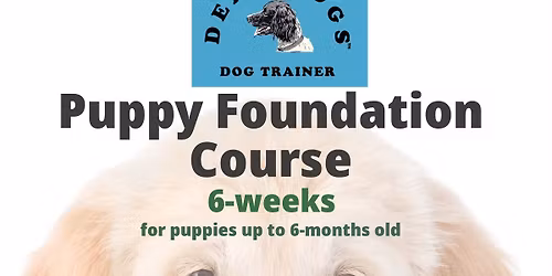 Puppy Foundation Course