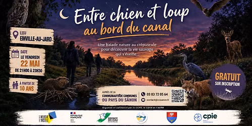 Entre chien et loup au bord du canal