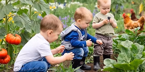 Mary Mary, How Does Your Garden Grow? Come Learn And See!